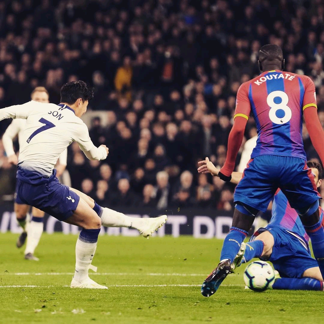 导能力不仅 导能力不仅